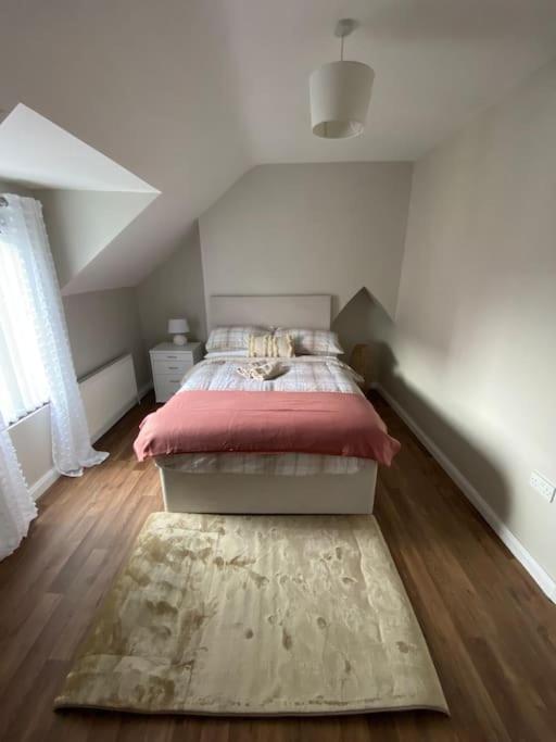 The Cozy Homestay Belfast Exterior foto