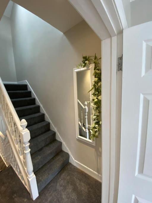 The Cozy Homestay Belfast Exterior foto