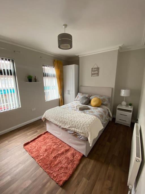 The Cozy Homestay Belfast Exterior foto